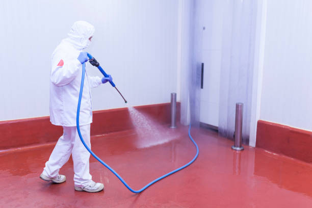 Best Restaurant Pressure Washing  in Tangent, OR